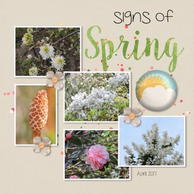 Bingo 19 - signs of spring