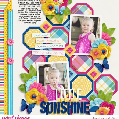 little-ray-of-sunshine-wm
