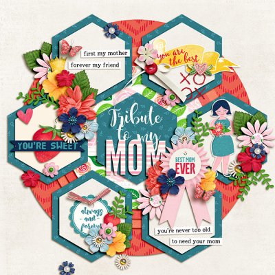 Tribute to my mom