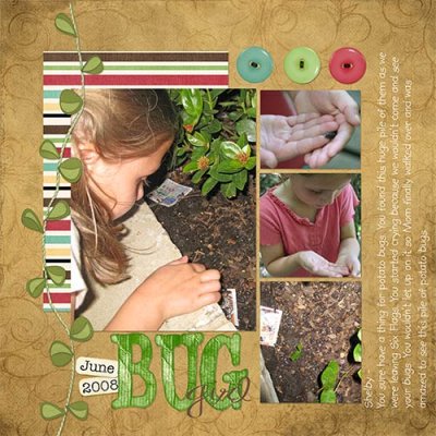 Shelbys-Bugs