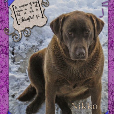 Nikko