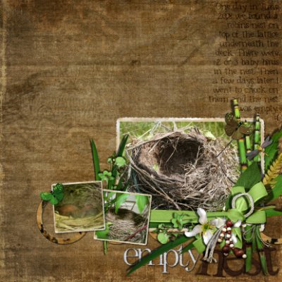 Empty Nest