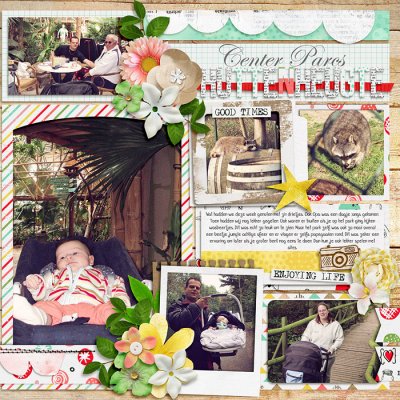 Center Parcs2