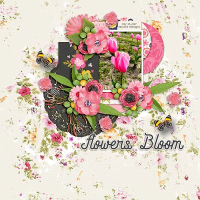 Flowers Bloom