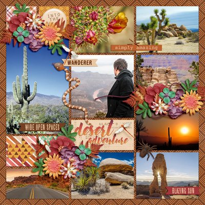 desert adventure