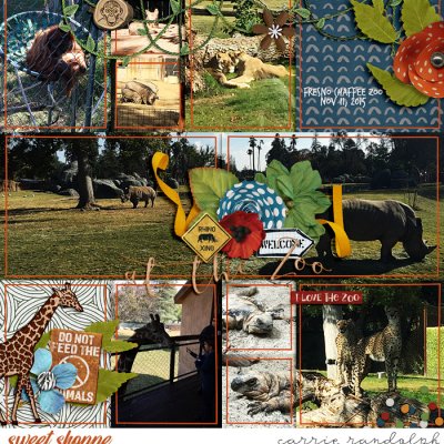 At The Zoo