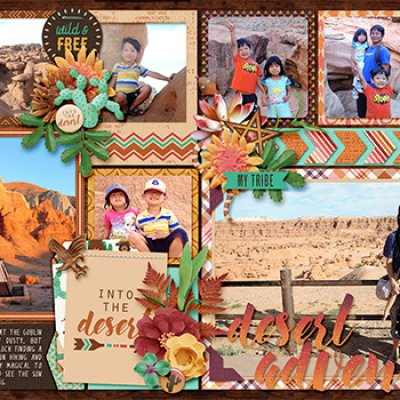 Desert Adventure