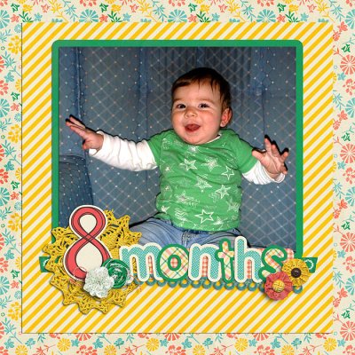 8 Months