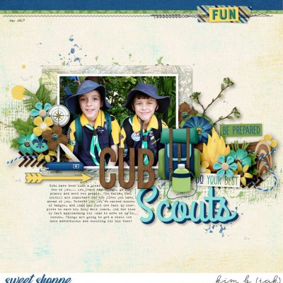 Cub Scouts