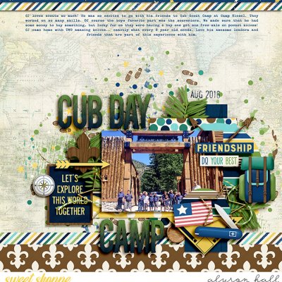 Cub Scout Camp