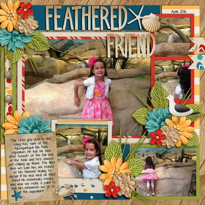 Feathered Friend
