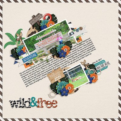 Wild & Free