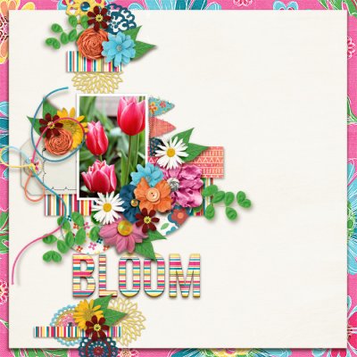Bloom