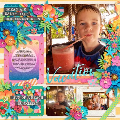 Baracudas