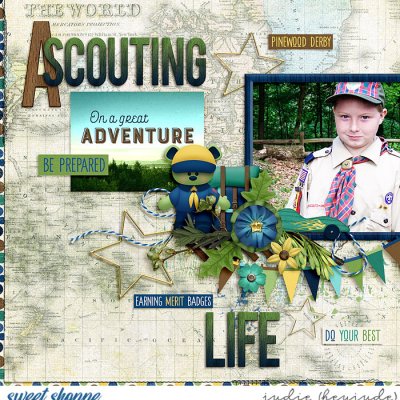 A Scouting Life