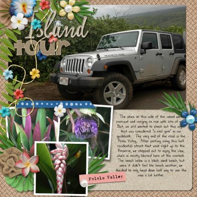 Hawaii Island Tour