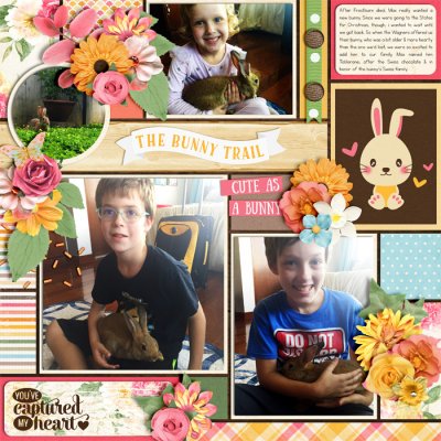 Bunny Love