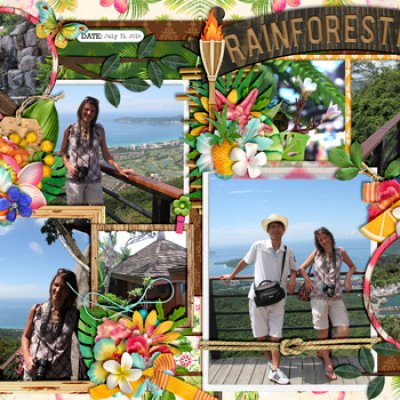 Rainforest Park