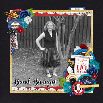 School - 2017 Band Banquet