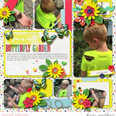 Butterfly Garden