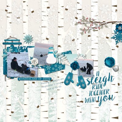 Sleigh Ride