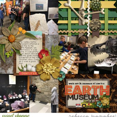 Earth Museum