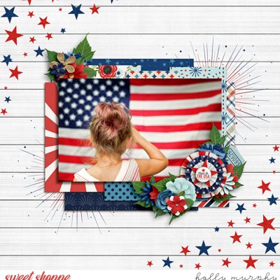 Made in the USA