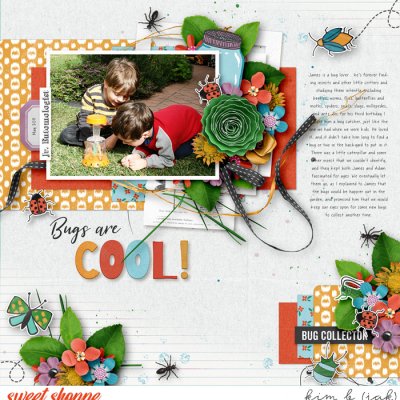 Bugs Are Cool!