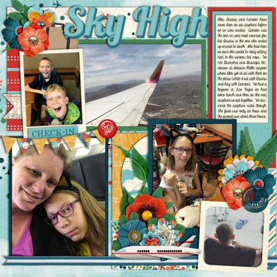 wc_airplane2017_left