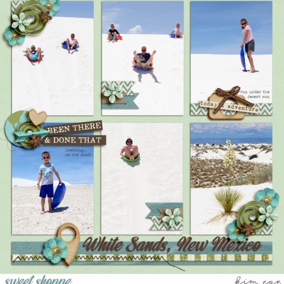 Sand Sledding