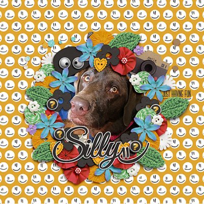 Sweet, Sassy & Silly