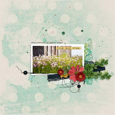 wild summer flowers