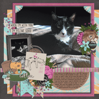 Cats - Cleo's Last Pose