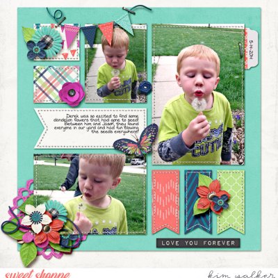Dandelion Wishes