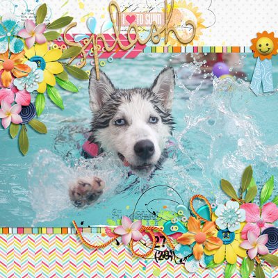 splash