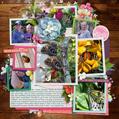 Butterfly World - Right Page