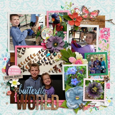 Butterfly World - Left Page