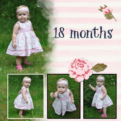 18 Months