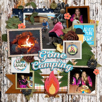 Bingo Challenge #9: Around the Campfire
