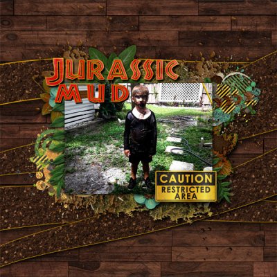 Juassic Mud