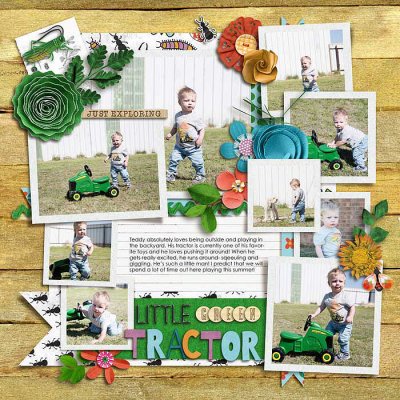 Little Green Tractor