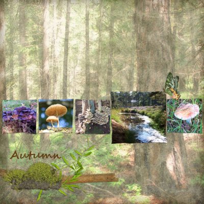 Autumn