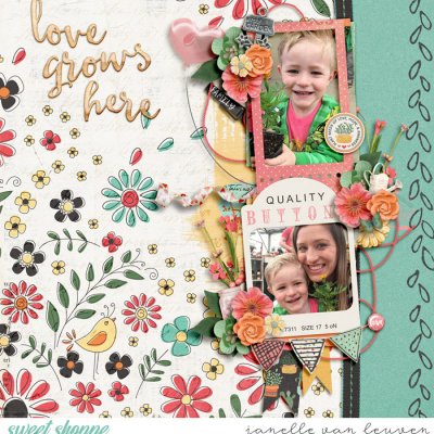 Love Grows Here