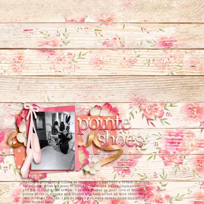 Pointe Shoes
