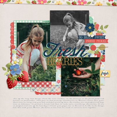 fresh berries