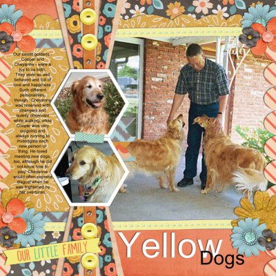 G11 - Yellow dogs