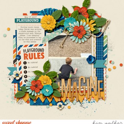 Playground Rules