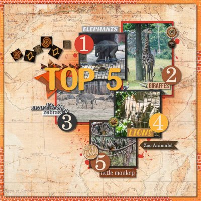 Top 5 Zoo Favorites