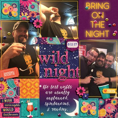 Wild Night