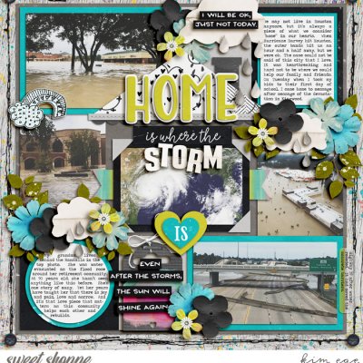 Where the Storm Is
